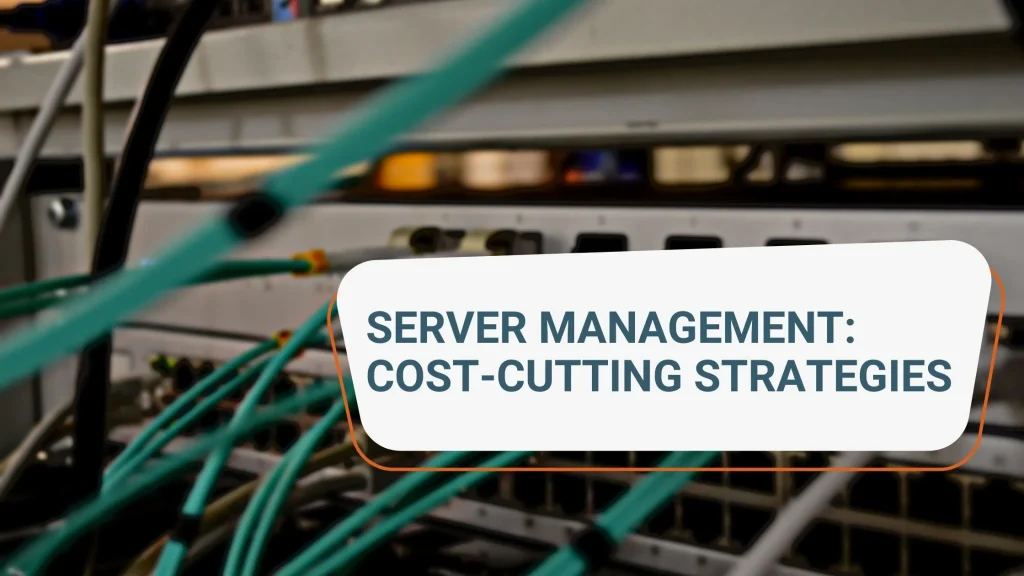 Server Management: Cost-cutting strategies